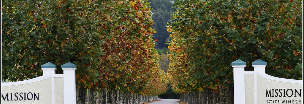 A very popular Winery is the oldest in New Zealand, the Mission Estate Winery. Visit with Hawkes Bay Scenic Tours.