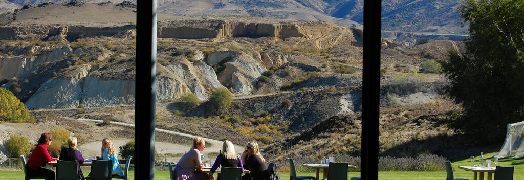 The view from Carrick Winery's restaurant