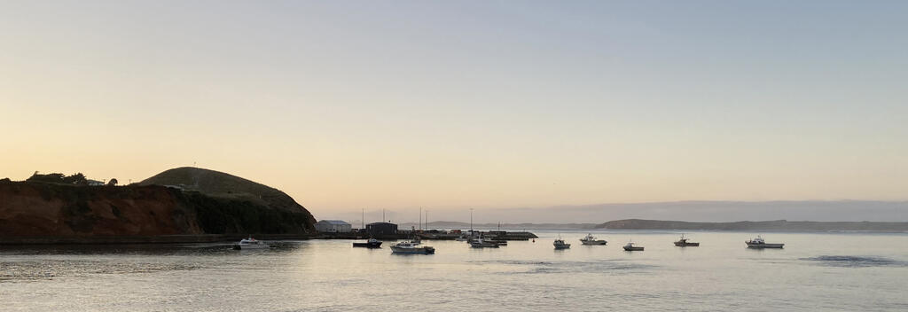 Looking back at Waitangi Wharf