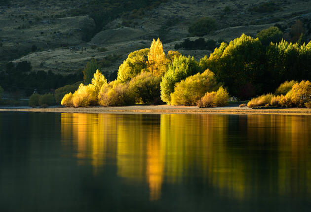 Whether you're a professional photographer or an avid instagrammer, New Zealand provides an incredible array of targets for your lens.