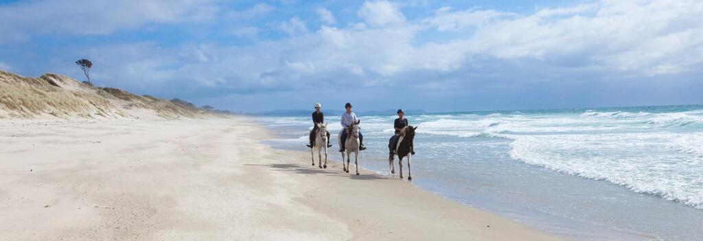 Pakiri Beach Horse Riding