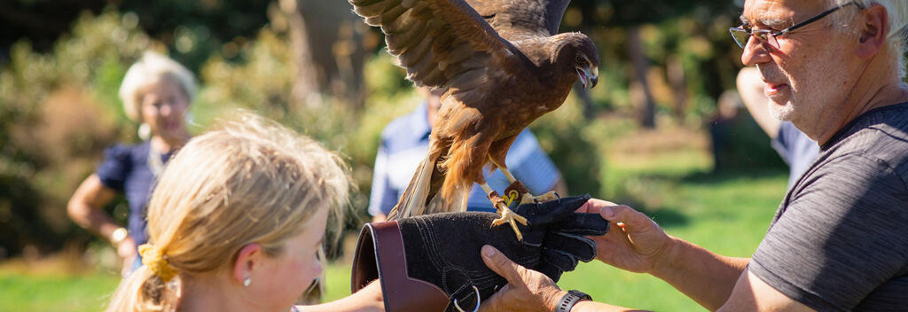 The Raptor Experience is suitable for children