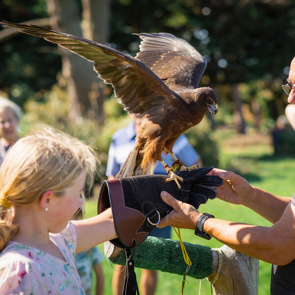 The Raptor Experience is suitable for children