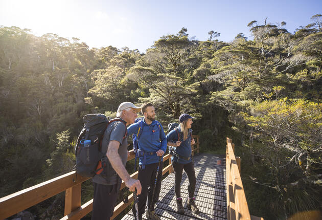 The 10 Great Walks of New Zealand provide access to some of the country’s most incredible natural landscapes, wildlife and cultural heritage. They traverse national parks and culturally significant areas. Find out how to book your Great Walk.