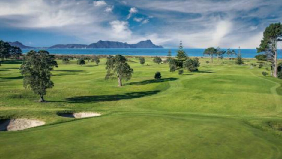 ワイプ・ゴルフ・クラブ | Activity in ノースランド, ニュージーランド