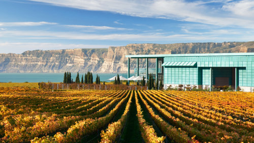 The Top 10 Wineries In New Zealand