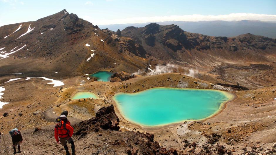 Ultimate North Guided Tour - Hiking New Zealand - 8 days | Tour in ...