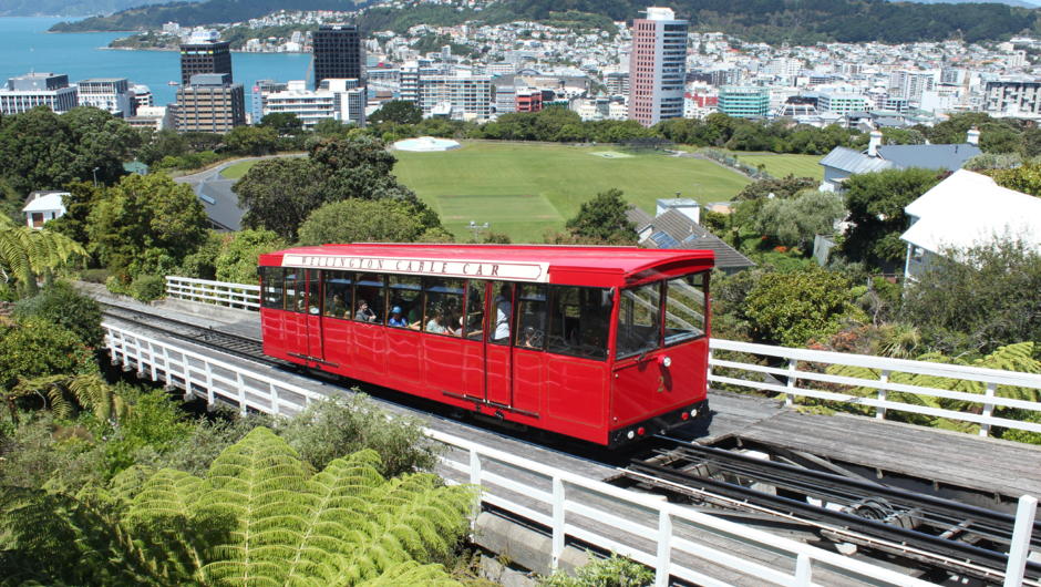 Kaewa Tours: Wellington Scenic Half Day Tour | Activity in Wellington ...