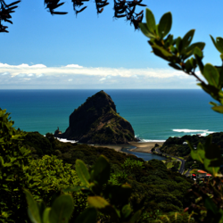 Piha Things To See And Do North Island New Zealand