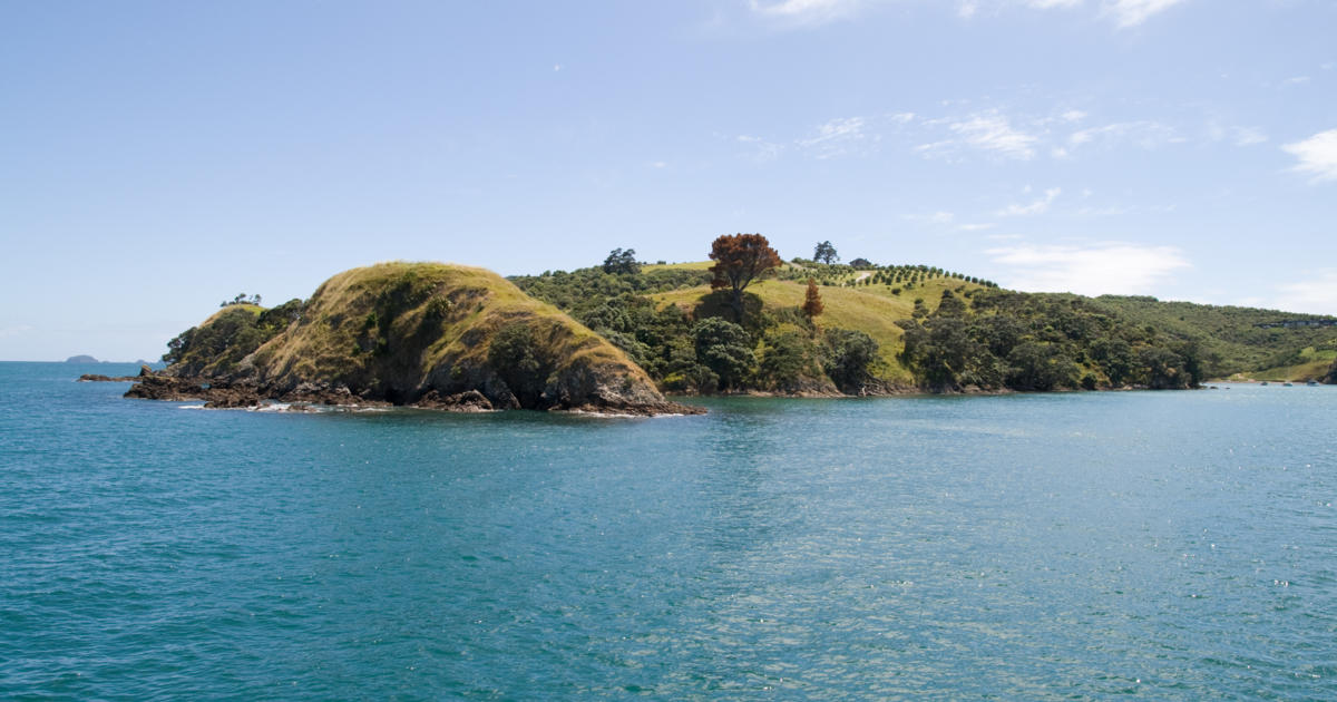 Te Matuku Marine Reserve | Auckland, New Zealand