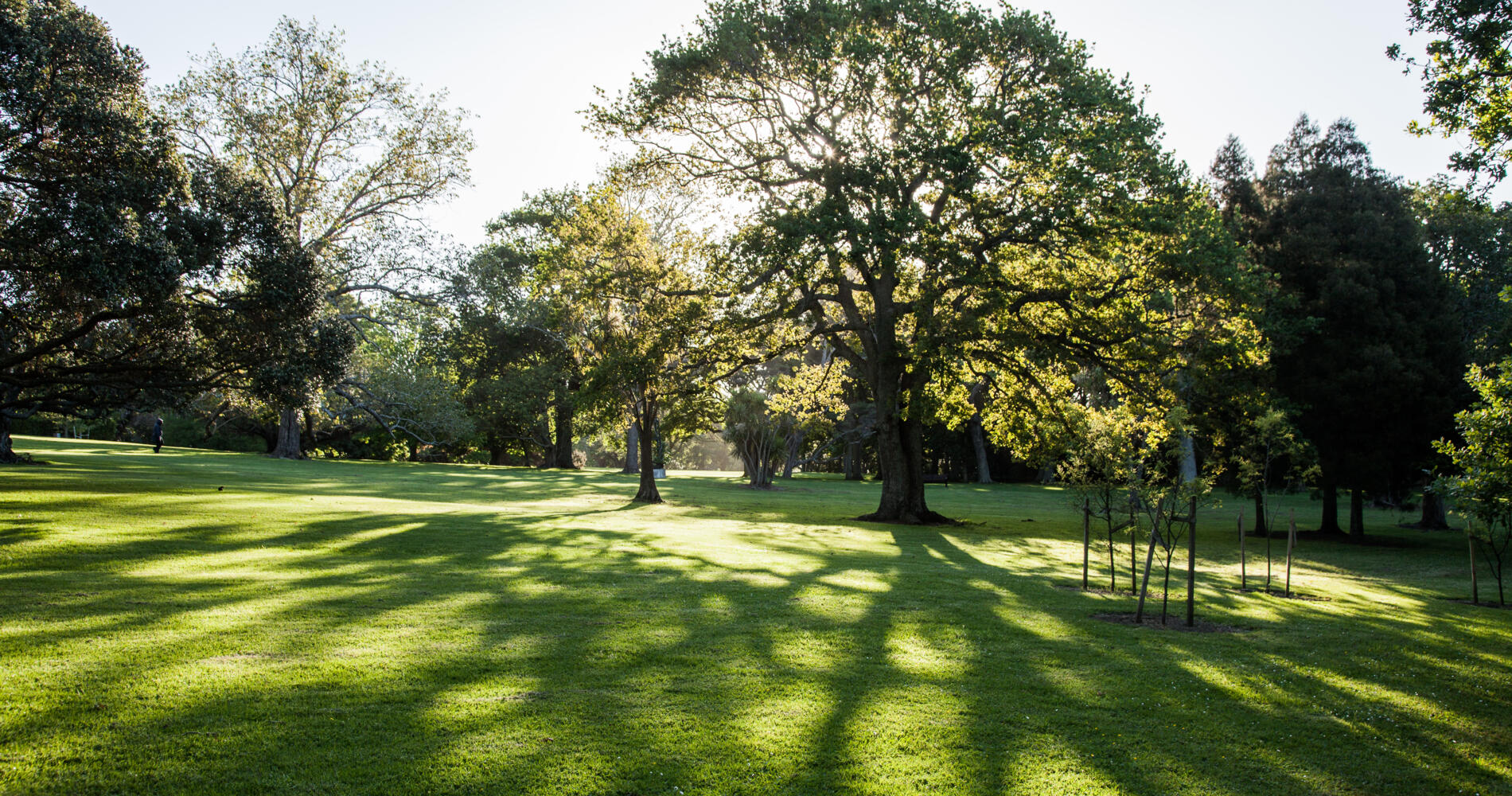 Auckland Domain | Auckland, New Zealand