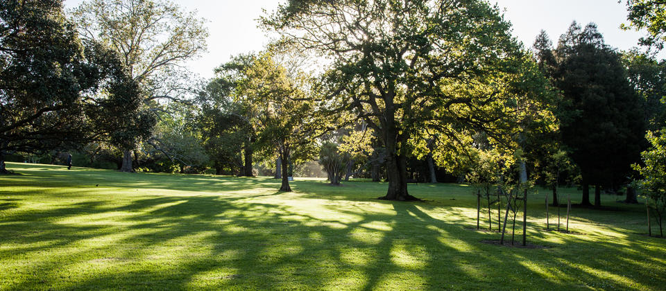 Auckland Domain | Auckland, New Zealand