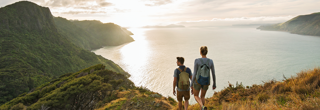 Walking in the Waitakere Ranges in west of the city is rated among the best things to do when you're visiting Auckland.