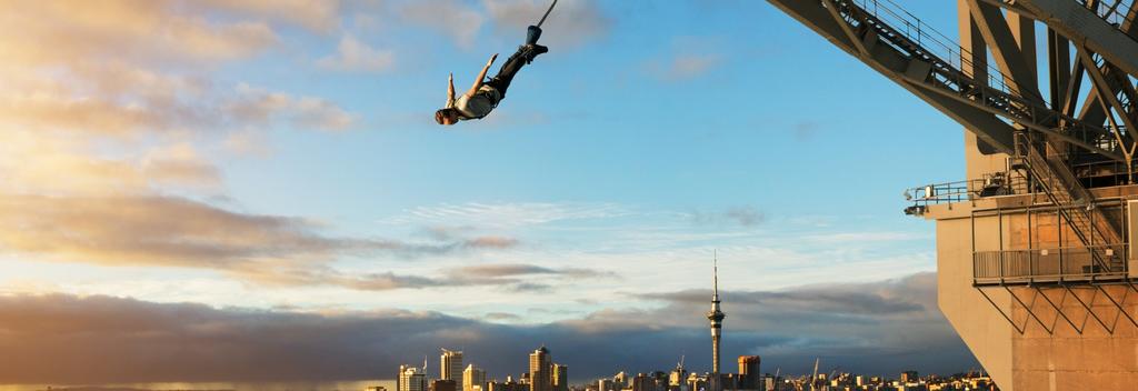 Unternimm einen Rundflug über Auckland. Es gibt sogar eine Option, mit einem Wasserflugzeug zu fliegen.