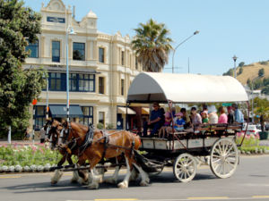 The historic seaside village of Devonport truly turns on the charm for visitors.