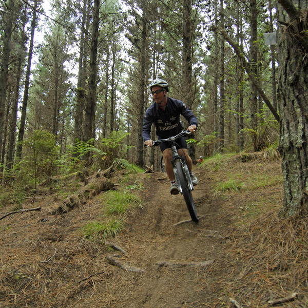 Explore the forest on the many cycle trails.