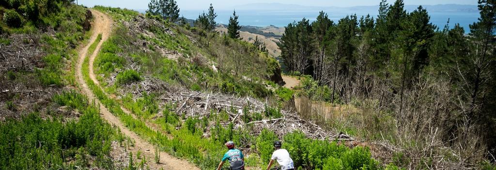 Fourforty Mountain Bike Park Auckland New Zealand