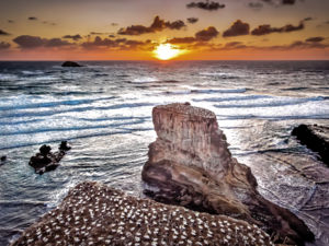 Sunset in Muriwai