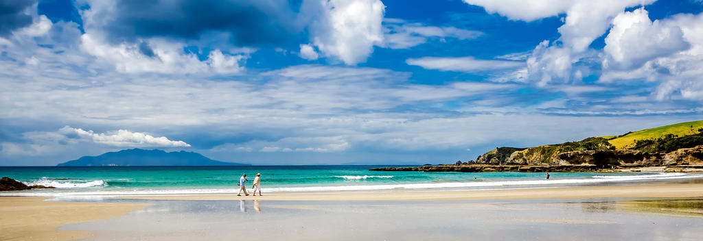 Explore the many beaches near Matakana, including the stunning Tāwharanui