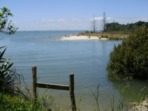 An estuary at Earthtalk on the Awhitu Peninsula.