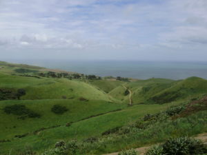 The rolling hills of the Awhitu Peninsula