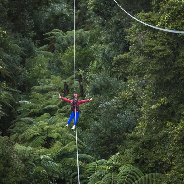 Ziplining in Rotorua