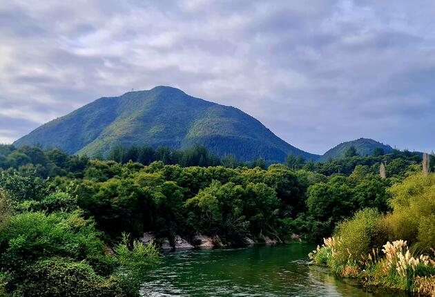 Discover the small-town joys of Kawerau and its bounty of natural attractions. The region’s sculpted landscapes and plentiful fishing attracted attracted early Māori settlers and continues to dazzle visitors today.