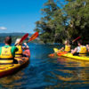 Kayak Wairoa