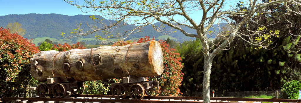 Early history display in Katikati