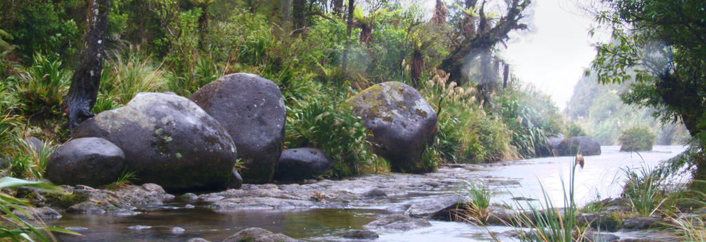 A slice of paradise at the top of the Wairere Falls