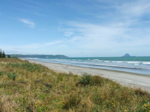 奥霍普沙滩（Ohope Beach）的白色沙滩绵延11公里，拥有得天独厚的巨大海浪。