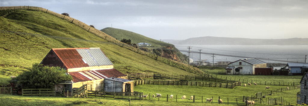 Chatham Island views