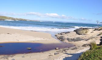 Chatham Islands