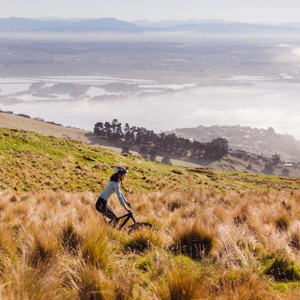 Wander the Port Hills on the edge of Christchurch city