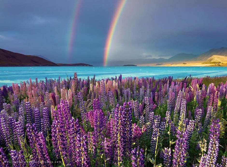 5 of our favourite photos of New Zealand | New Zealand