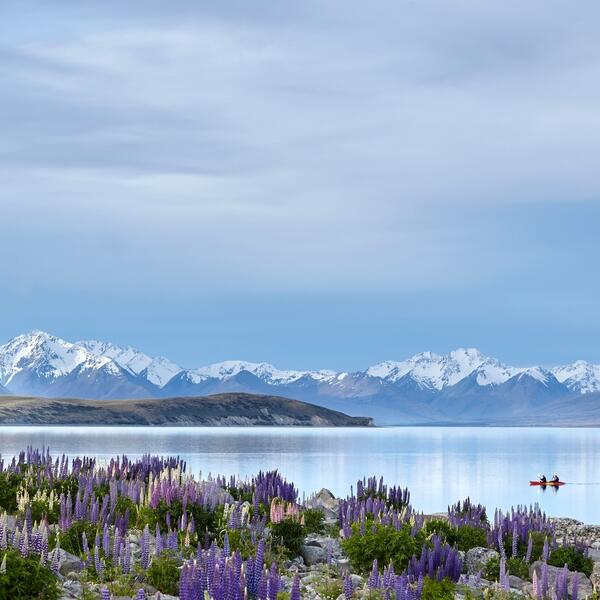 Lake Tekapo/Takapō