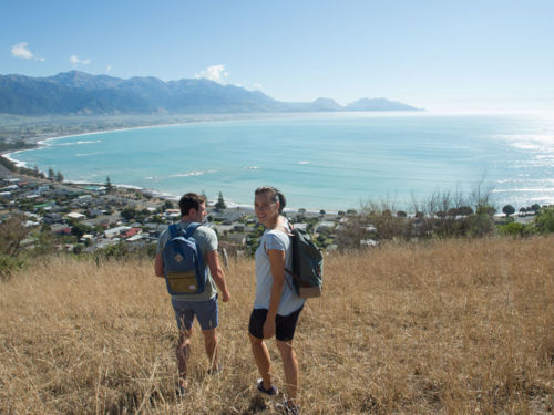 Kaikoura Peninsula Walkway Christchurch Canterbury New Zealand