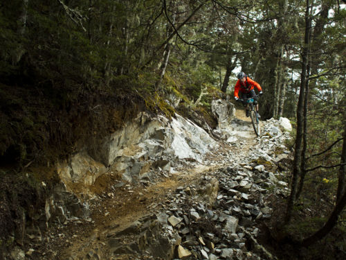 castle hill mountain bike tracks