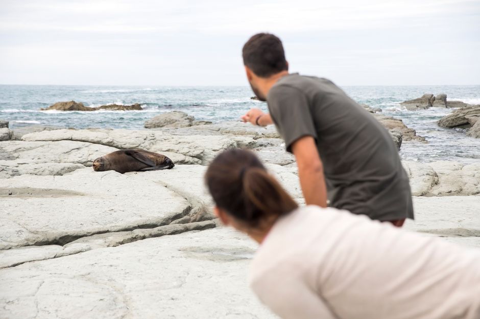 Get prepared for one of the world's most unique wildlife encounters