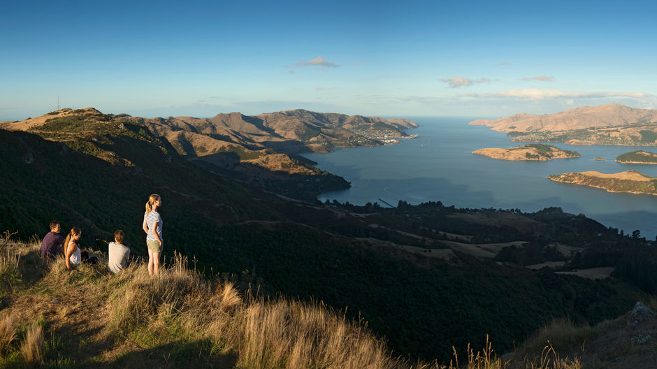 Explore the surrounds of Christchurch, Canterbury.