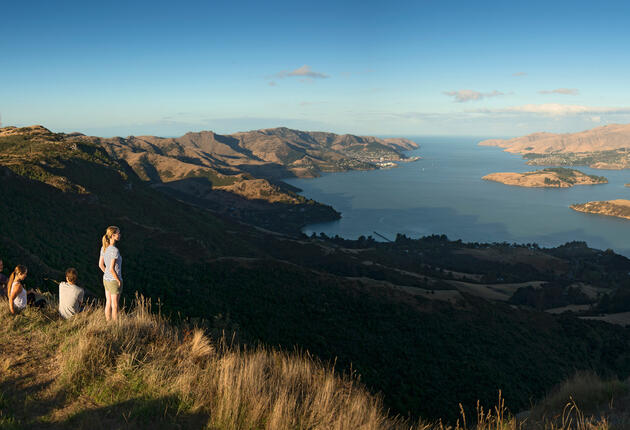 Christchurch International Airport receives flights from Australia, Singapore and Japan, as well as a large number of domestic locations.