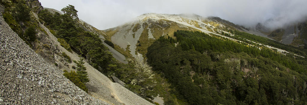 Starting from Craigieburn Ski Field at 1300 metres elevation, the trail cuts across a steep scree slope before diving into a beech forest for a fantas