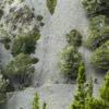 Craigieburn Forest's unique landscape, dotted with huge limestone boulders, was used to film a scene in Narnia’s The Lion, The Witch and The Wardrobe.