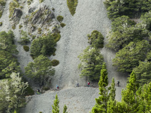 Craigieburn Forest's unique landscape, dotted with huge limestone boulders, was used to film a scene in Narnia’s The Lion, The Witch and The Wardrobe.