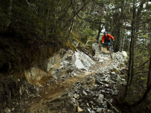 Built by riding enthusiasts, a large section of this track crosses a mix of forest and tussock country before descending to Castle Hill Village.