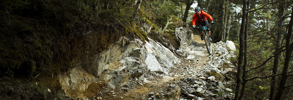 Built by riding enthusiasts, a large section of this track crosses a mix of forest and tussock country before descending to Castle Hill Village.