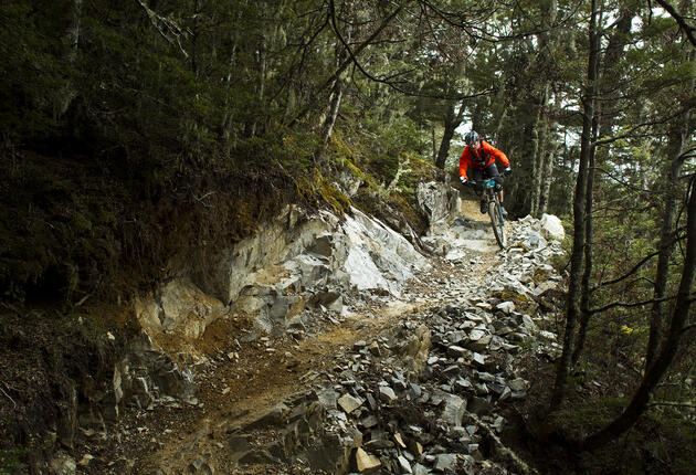 For trail maps, ride tips, bike hire and repairs, head to one of the local bike shops in Christchurch.