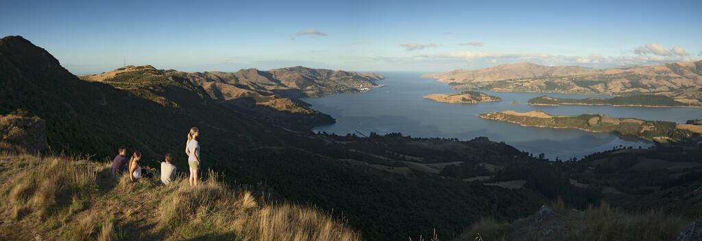 Walking the Port Hills