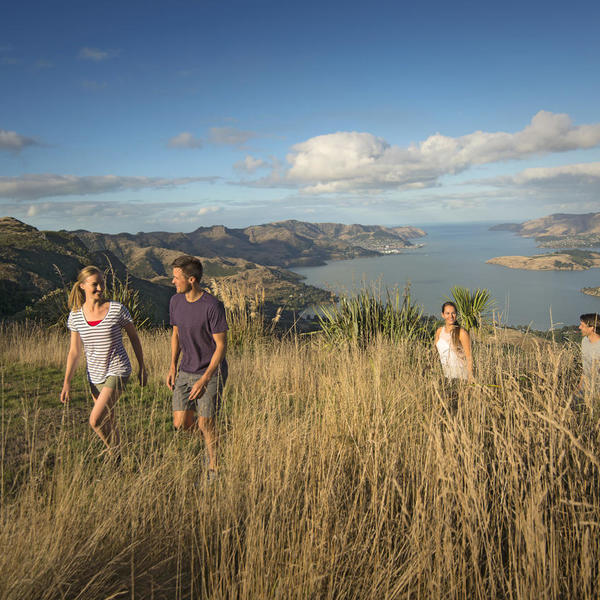 Enjoy the views from Christchurch's Port Hills