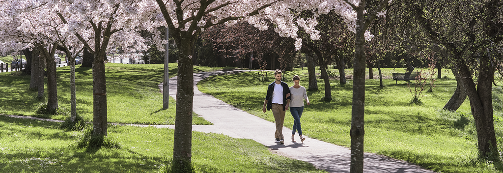 Discover stunning gardens in the heart of Christchurch city.